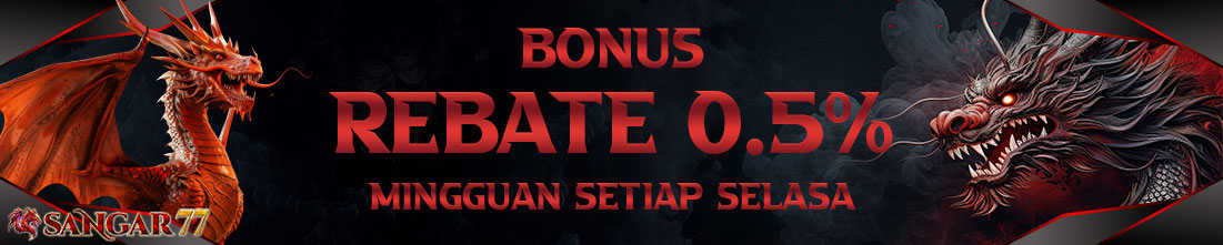 BONUS REBATE 0.5